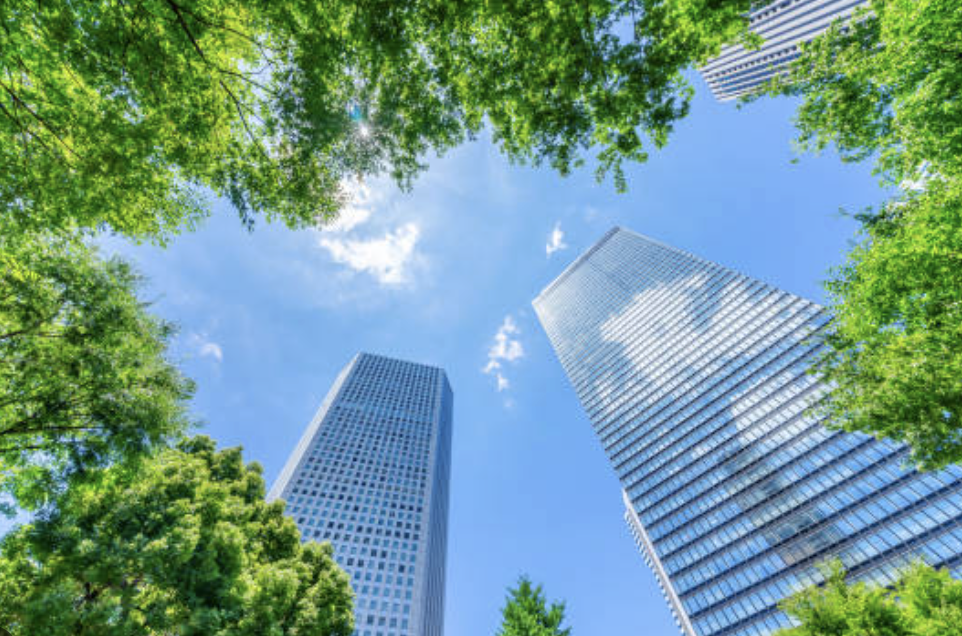 株式会社岡川が目指す未来‐姫島の地から新たな価値を創造する