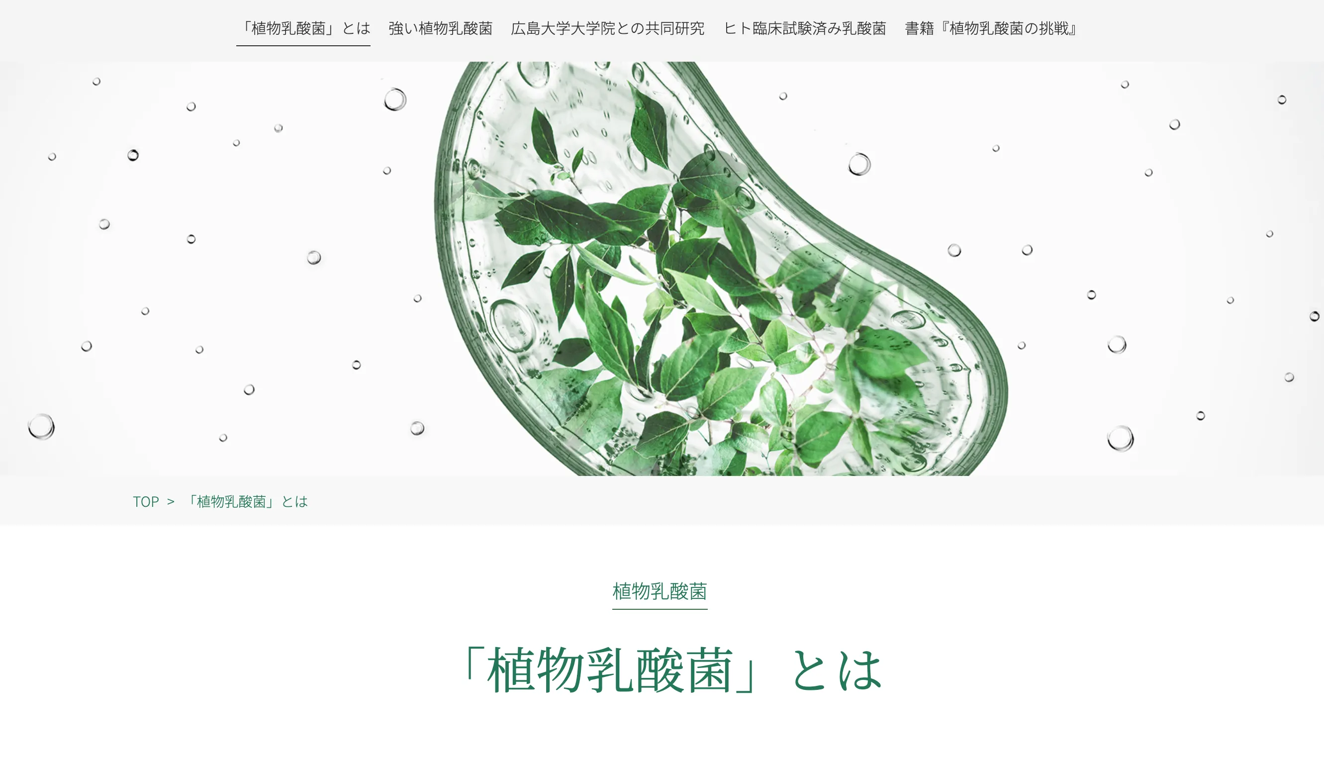 野村乳業株式会社の仕事内容‐植物乳酸菌の研究と製品づくりを担う現場